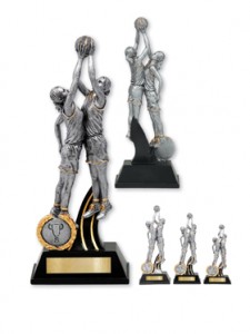 netball trophy