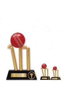 cricket trophy